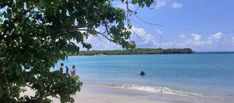 Studio eliconia<br>Quartier anse bellune <br>Rue la bellune Trinité 97220