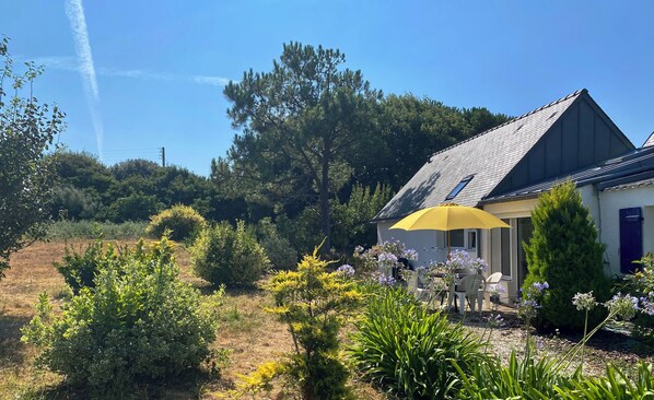 A house with a sloped roof, a yellow umbrella, and a garden with various plants and flowers.