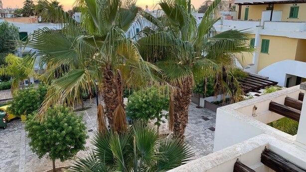 A rooftop terrace with palm trees, a tiled floor, and a view of surrounding buildings. - Sea Villa (Baia Verde)