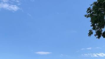Ländliche Landschaft mit blauem Himmel, weißem Zaun und üppiger Vegetation.