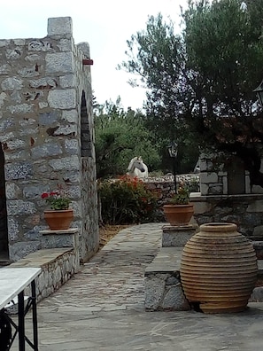 Terraço/pátio