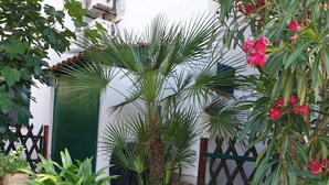 Une cour agrémentée de différents pots de plantes, d’un mur en pierre et d’une clôture en bois.