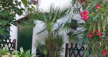 Studio apartment in Mali Lošinj with Terrace, Air condition, WIFI (4913-2)