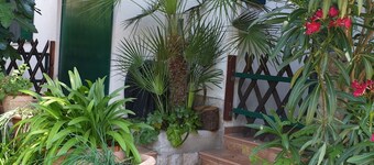 Appartamento Studio in Lussinpiccolo (Mali Losinj) con terrazzo, Climatizzazione, WIFI (4913-2)