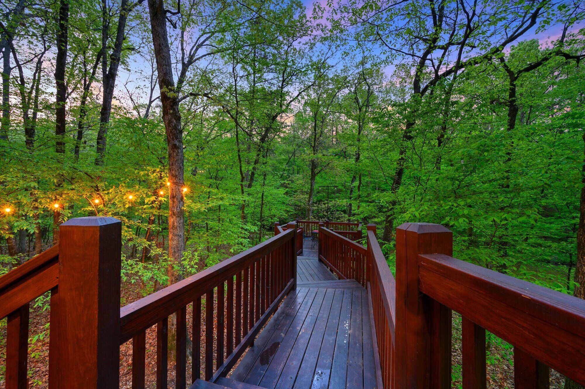 A wooden bridge in a forest with string lights.