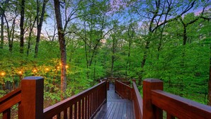 A wooden bridge in a forest with string lights.