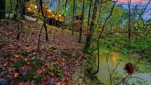 A cabin surrounded by trees and a pond. - Logan's Bluff Cabin at Hochatown (Broken Bow)