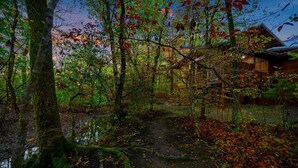 A forested area with a wooden cabin and a dirt path.