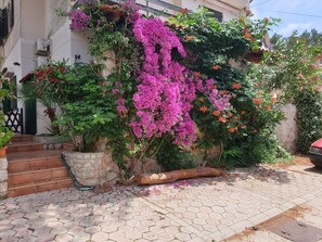 المنطقة المحيطة بالمنشأة