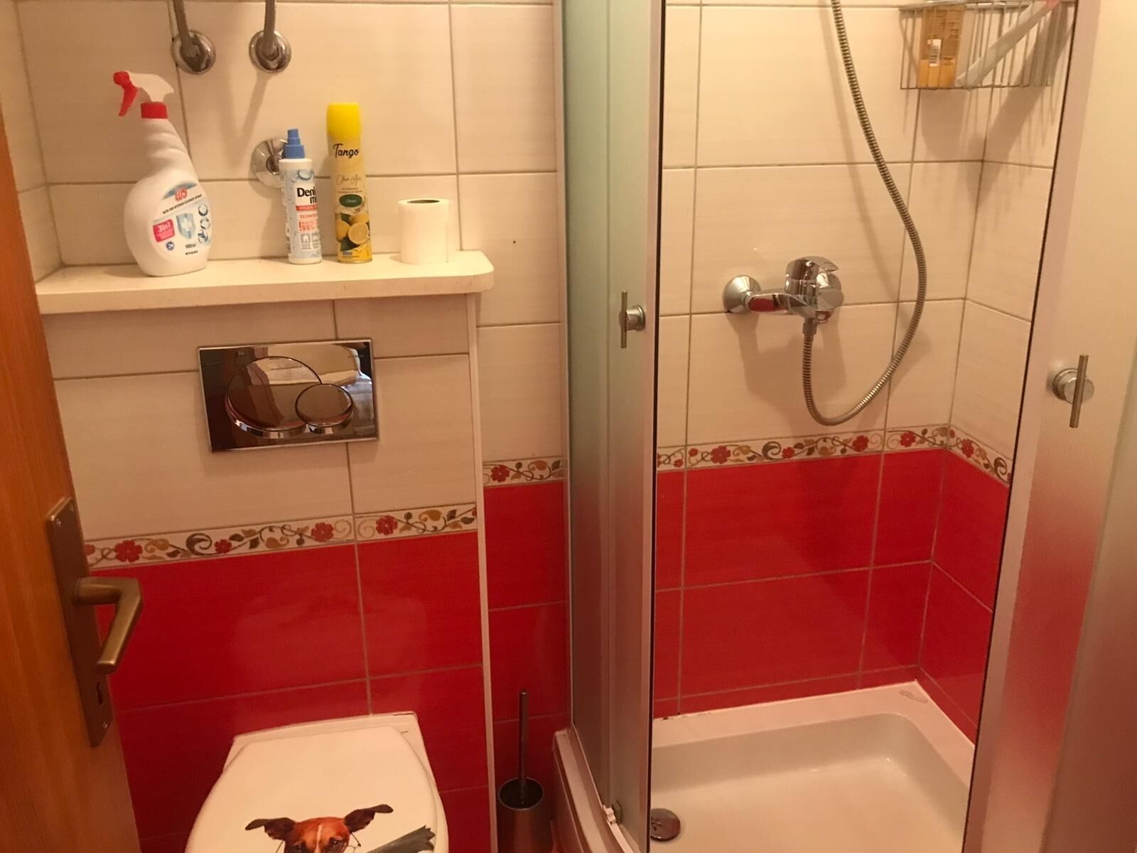 A bathroom with a shower, toilet, and a shelf with toiletries.