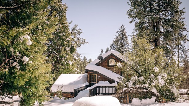 A wooden cabin surrounded by snow-covered trees.