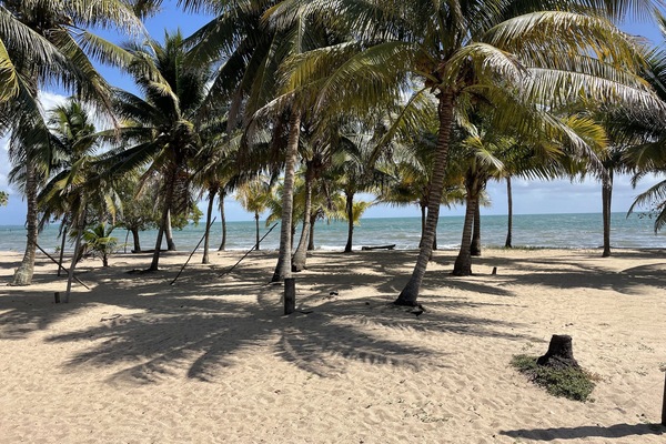 Beach nearby, beach towels