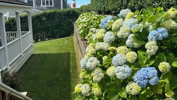 Jardines del alojamiento