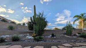A desert garden with cacti and rocks, a stone pathway, and a brick wall. - CASA GRIS-Heated spool-Bring your fur baby! Enjoy Naranja Park and bike trails. (Tucson)