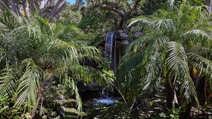 A lush garden with a waterfall, dense foliage, and a small pond. - Panoramic Ocean, Marina & River Views - Steps to Beach & Harbor (Oceanside)