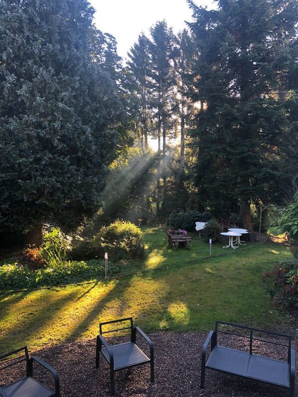 Property grounds - Hotel converted into a group B&B with 20 rooms and 18 bathrooms (Bussang)