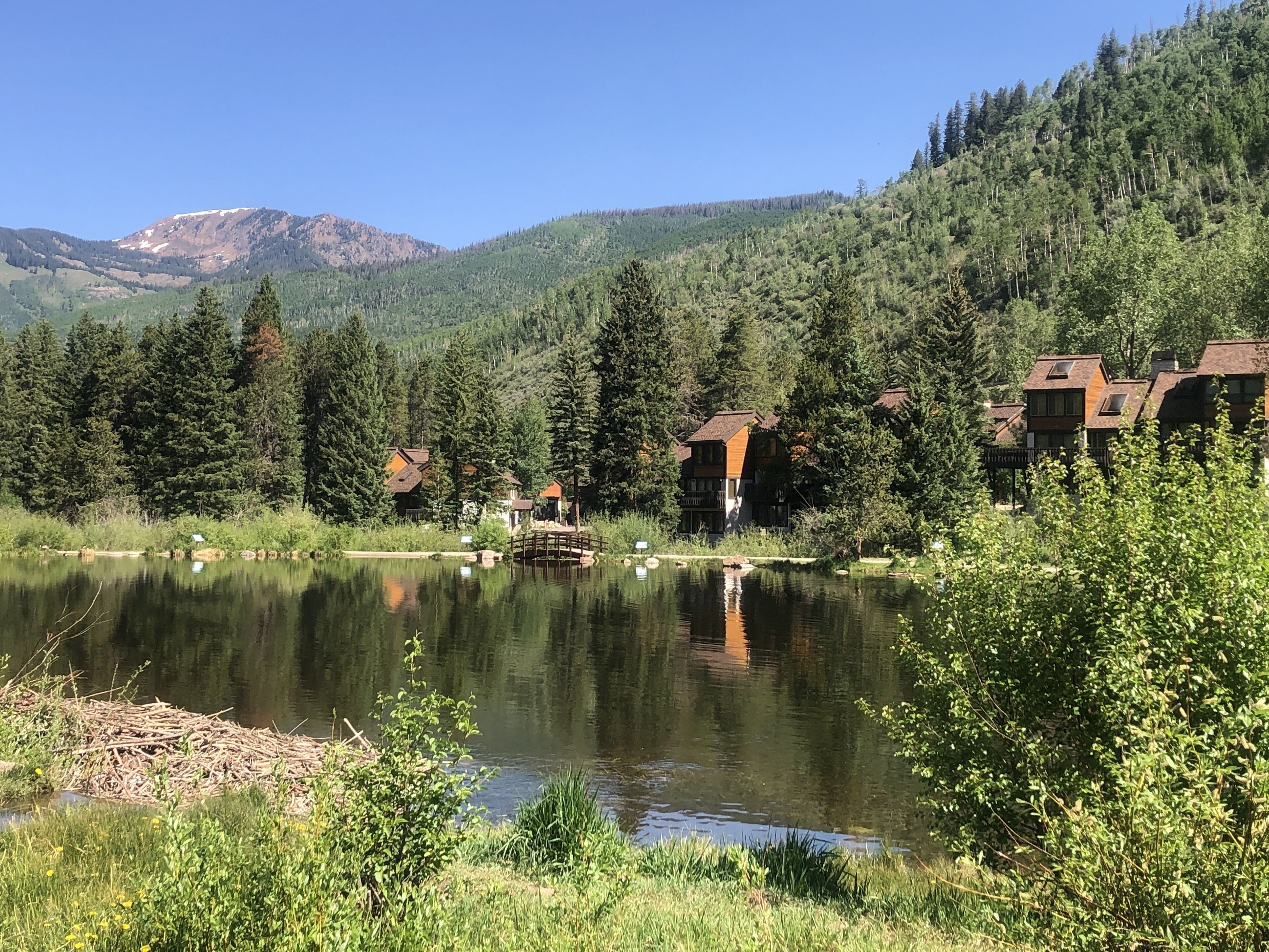 A lakeside cabin area with multiple wooden buildings, surrounded by dense forest and mountains.