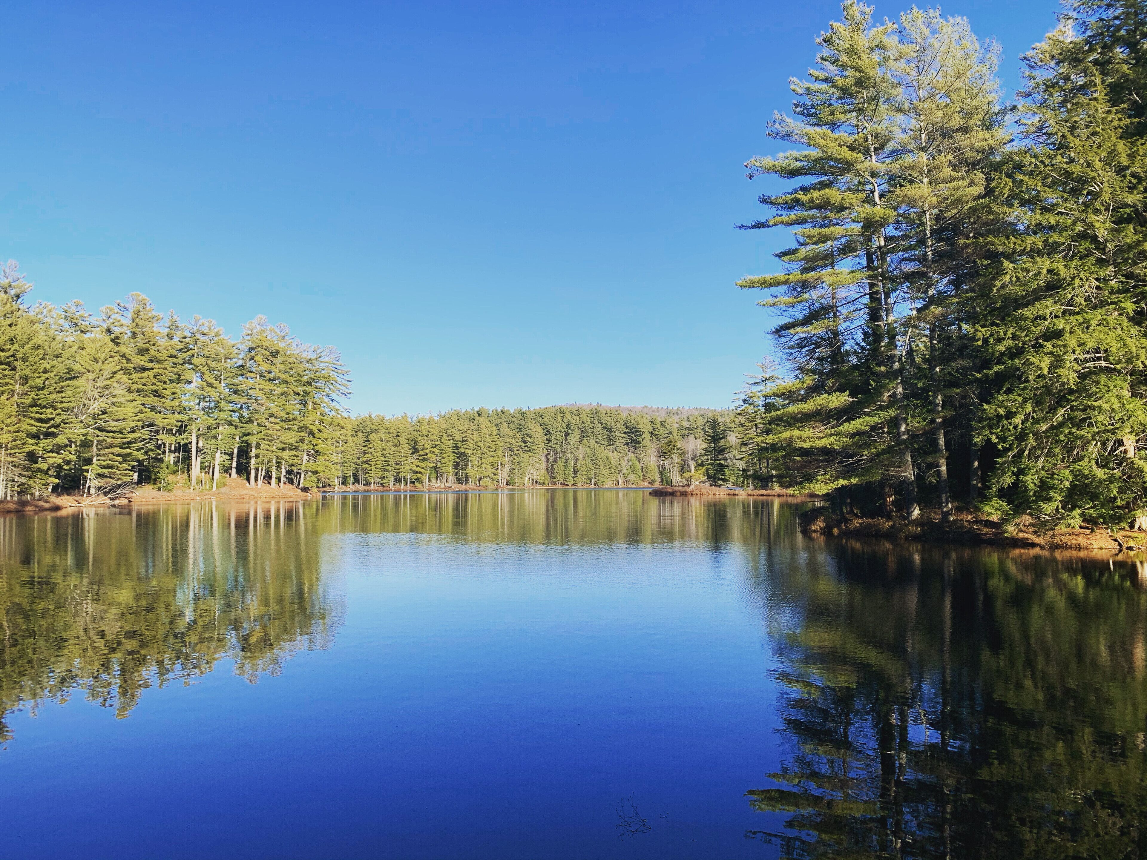 Lake & Ski Carriage Home-Minutes from Magic, Stratton, Bromley-Southern Vermont