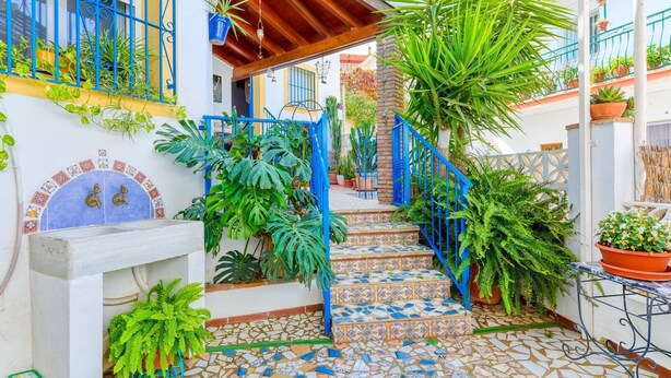 Un escalier avec des rampes bleues menant à une zone couverte, entourée de plantes en pot et dotée d’un sol carrelé.