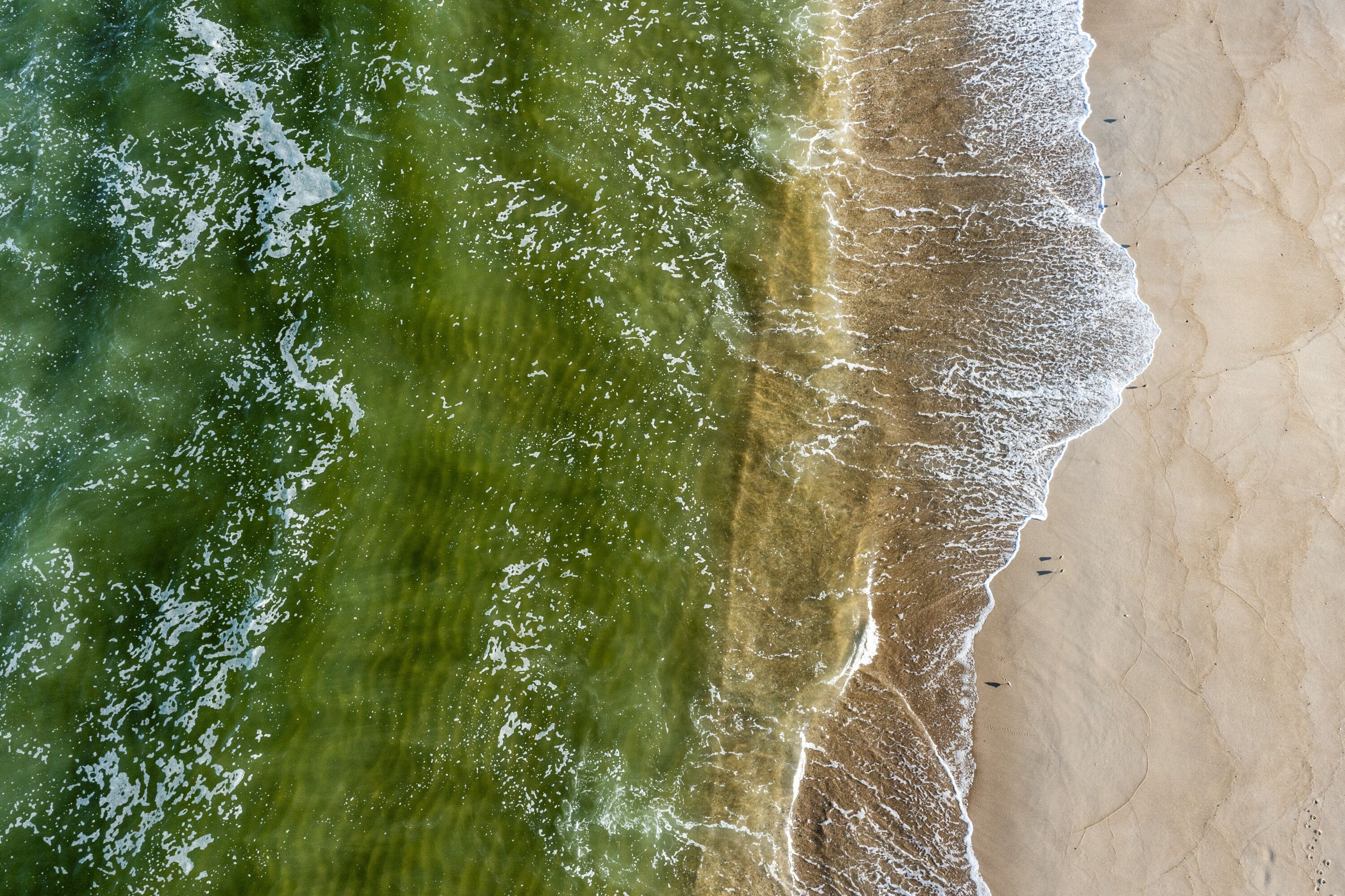 Plage à proximité, chaises longues, serviettes de plage