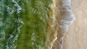 Vista aérea de una playa con olas rompiendo en la orilla.