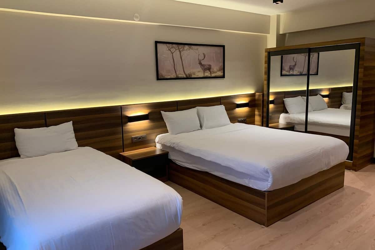 family triple room | 1 bedroom, premium bedding, soundproofing, free wifi