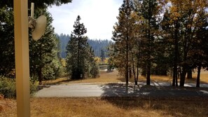 Property grounds - Pinecrestarearentals #18 Book 2nights get 3rd free Feb 8 stay watch Superbowl!. (LONG BARN)