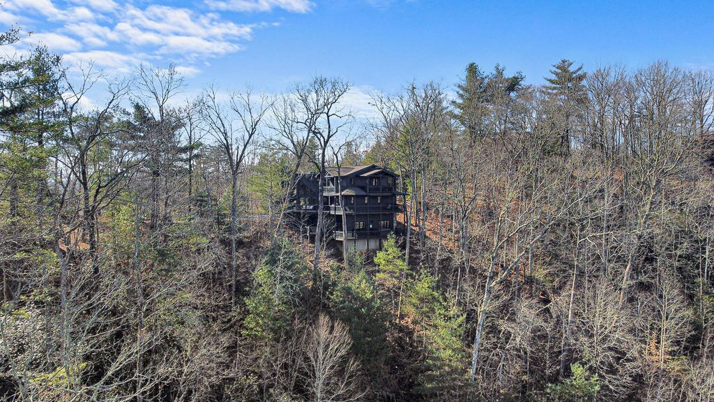 A cabin surrounded by dense forest.