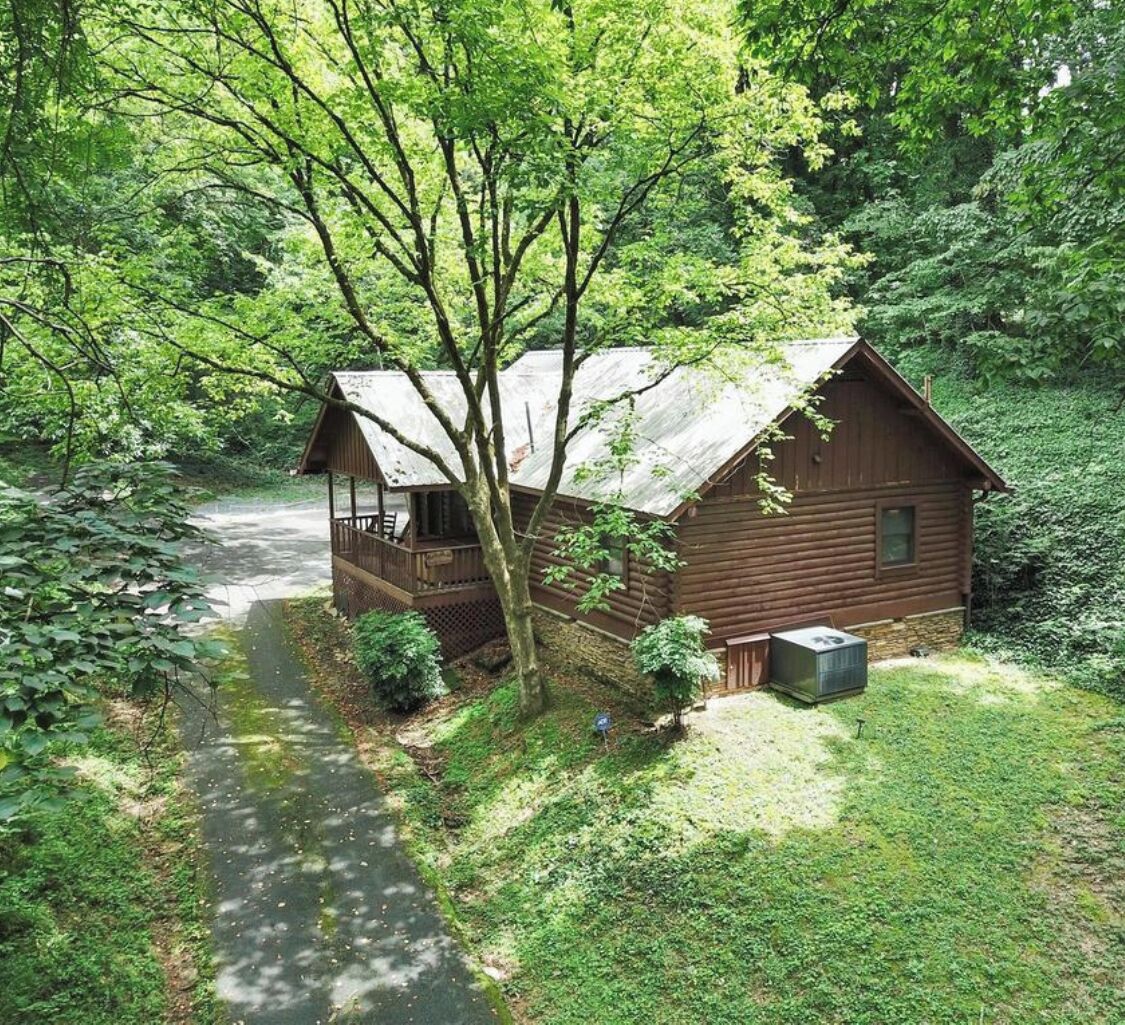 A rustic cabin with a porch, surrounded by dense greenery and a small stream.
