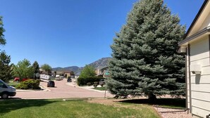 A residential street with houses, parked cars, and a large evergreen tree. - 5BR Recently Updated Retreat w/ Hot Tub, BBQ grill, Fire Pit, Near Attractions (Colorado Springs)
