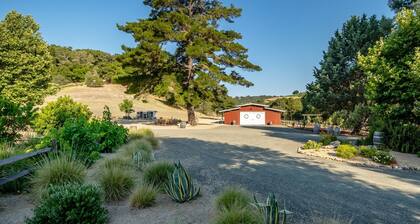 The Quintessential Barn at Farm Blanc Et Rouge