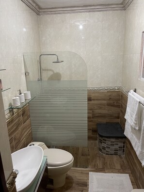 Combined shower/bathtub, bidet