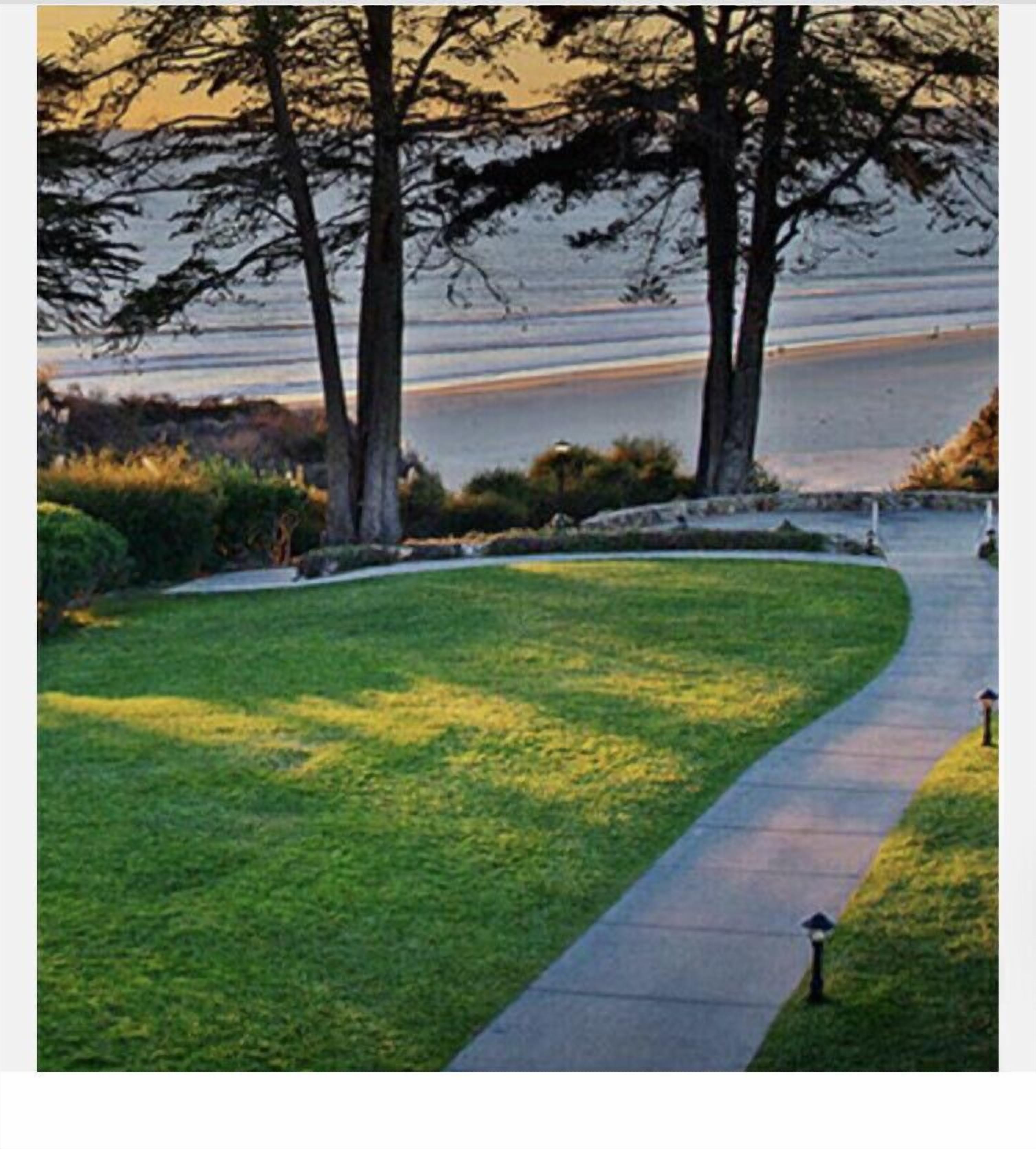 A pathway leading to a body of water, surrounded by trees and a grassy area.