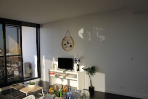 Flat-screen TV