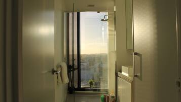 Shower, towels, soap, toilet paper