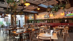 A restaurant with multiple tables and chairs, hanging plants, and a television on the wall. - Padstow Park Hotel (Padstow)