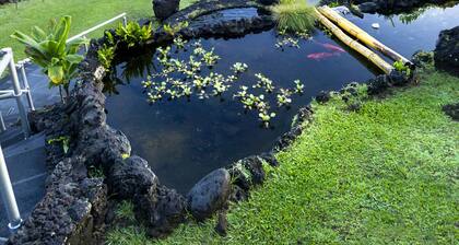 Oceanview #206 at Hana Kai Maui - Lofted Studio, Upper floor, Great View!