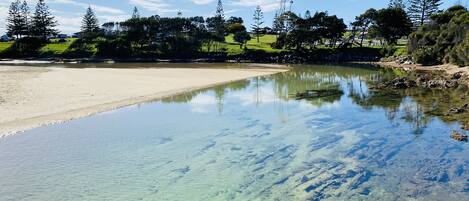 A clear water body reflecting trees and a sandy beach.