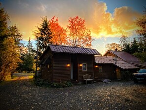 A rustic cabin with a metal roof, surrounded by trees and a gravel driveway.