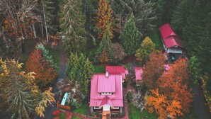 Eine Luftaufnahme eines Hauses, umgeben von einem Wald mit Herbstlaub.