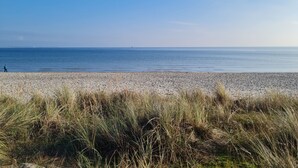 A beach with a pebbly shore and tall grasses in the foreground. - Front row, more sea is not possible! (Haffkrug)