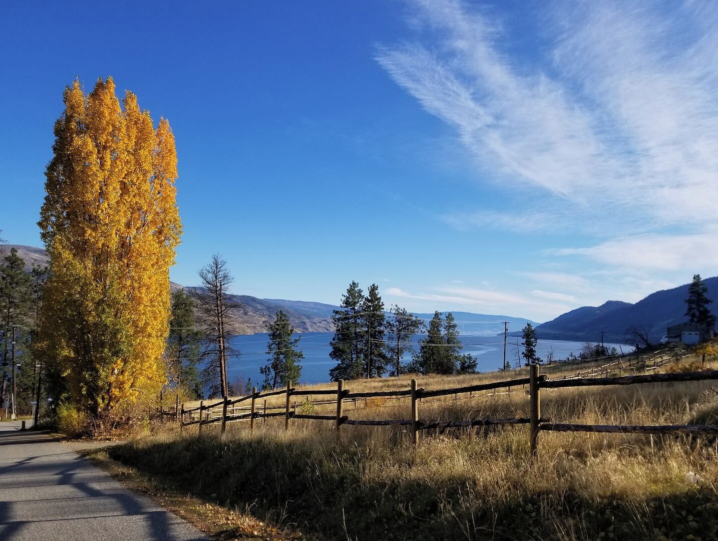 A scenic view of a lake with mountains in the background, a tall yellow tree, and a wooden fence along a road.