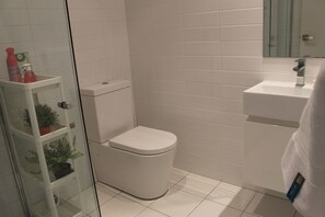 Regadera, secadora de cabello, toallas, jabón 