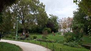 Un parque con un sendero de tierra, césped verde y diversos árboles.