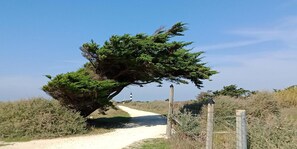 Hiking - Olydea Oléron les Sables Vigniers (Saint-Georges-d'Oleron)