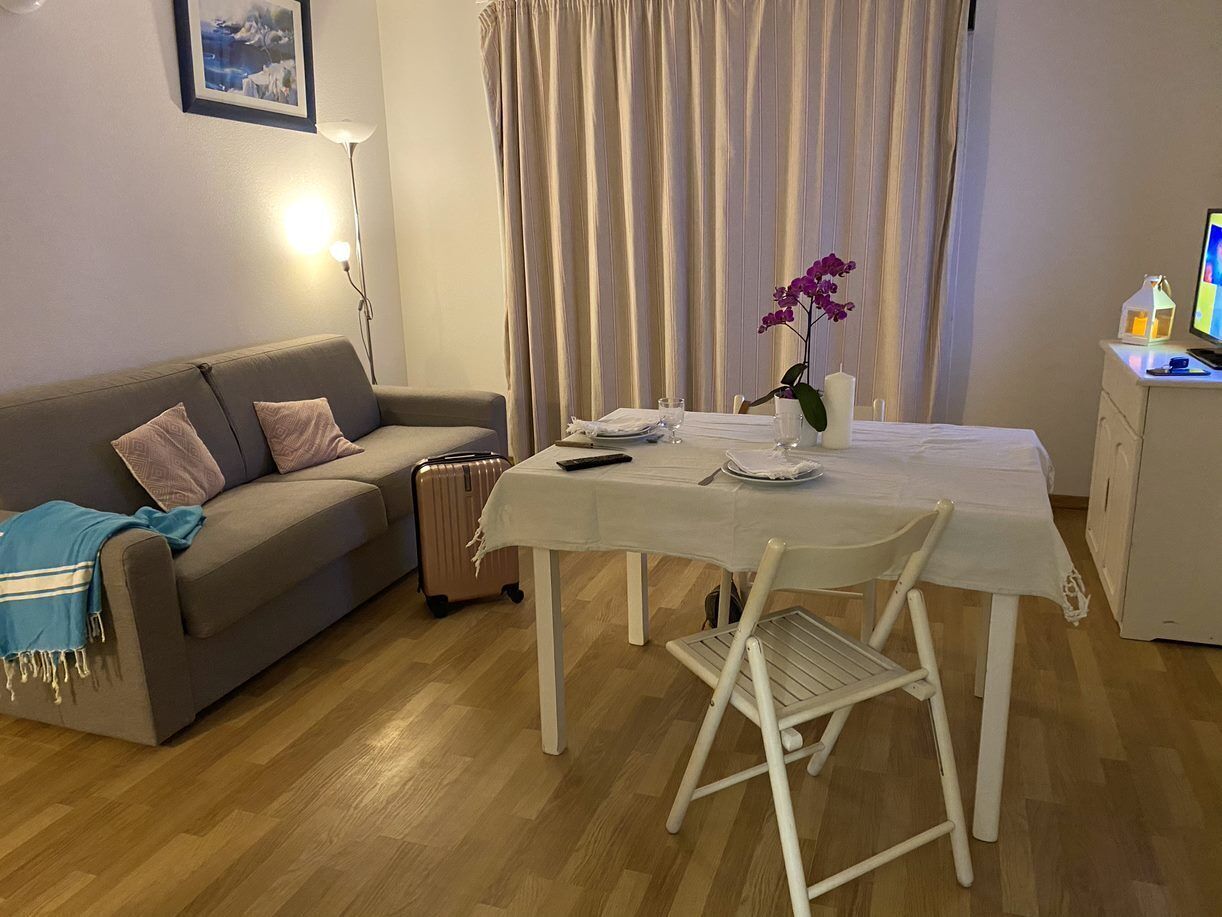 A living room with a sofa, a dining table, a chair, a small table with a vase of flowers, a lamp, and a suitcase.