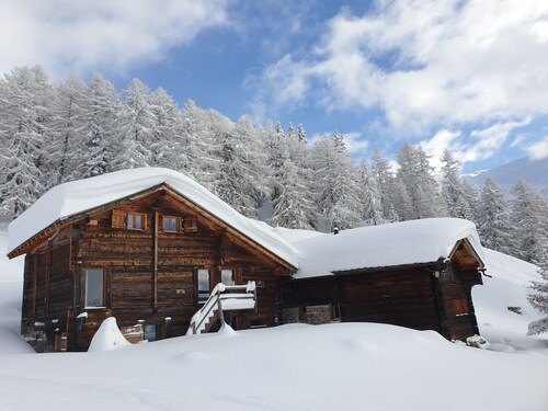 Mountain Lodge - Chalet Biene