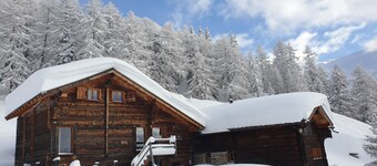 Mountain Lodge - Chalet Biene