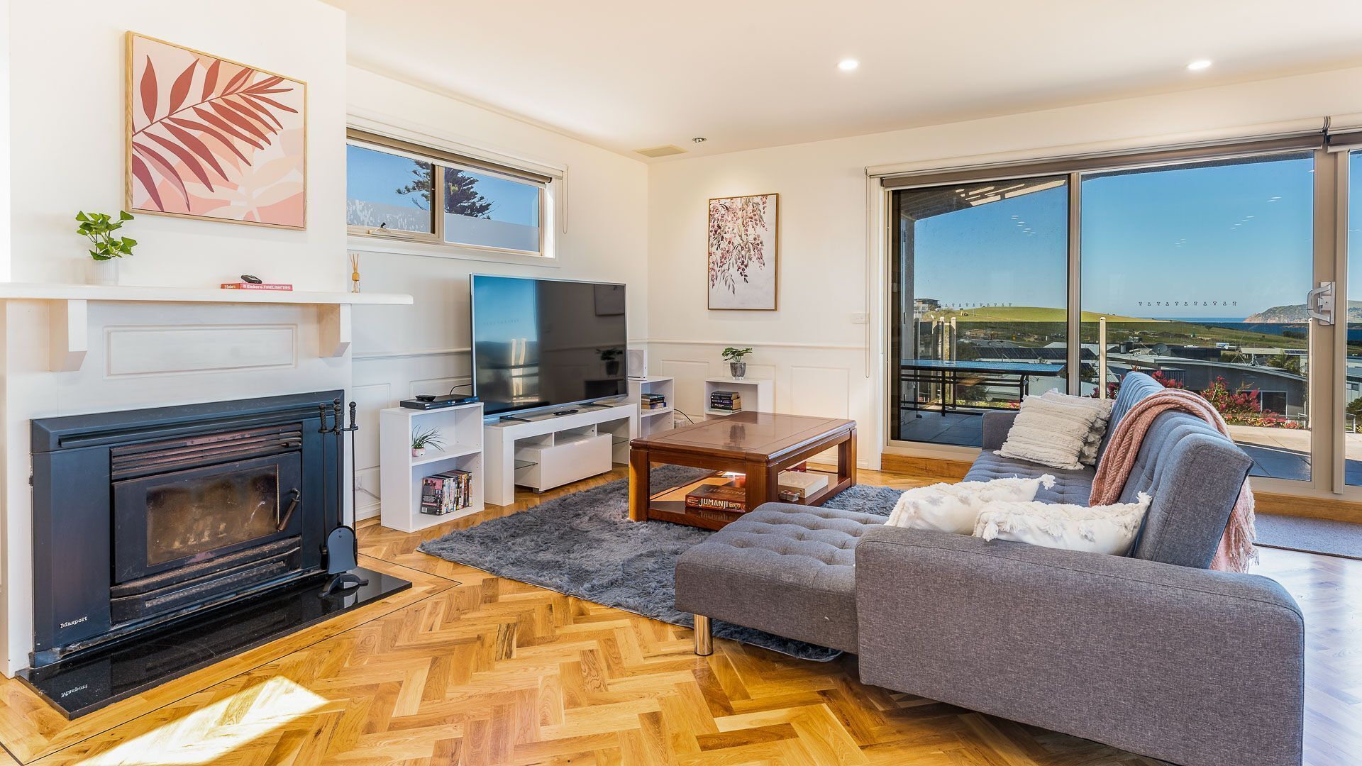 TV, fireplace, DVD player, books