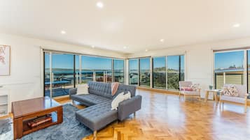 TV, fireplace, DVD player, books